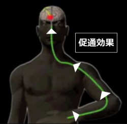 促通反復療法（川平法）：促通効果