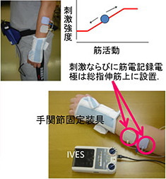 HANDS療法：慶應義塾大学